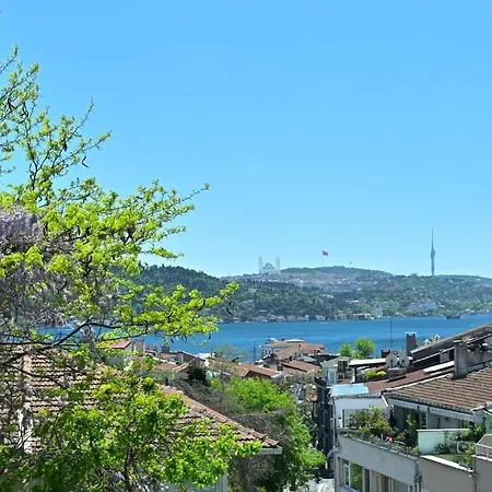Lovely Bright Triplex 5bd35bath Gem Views 178 * 이스탄불